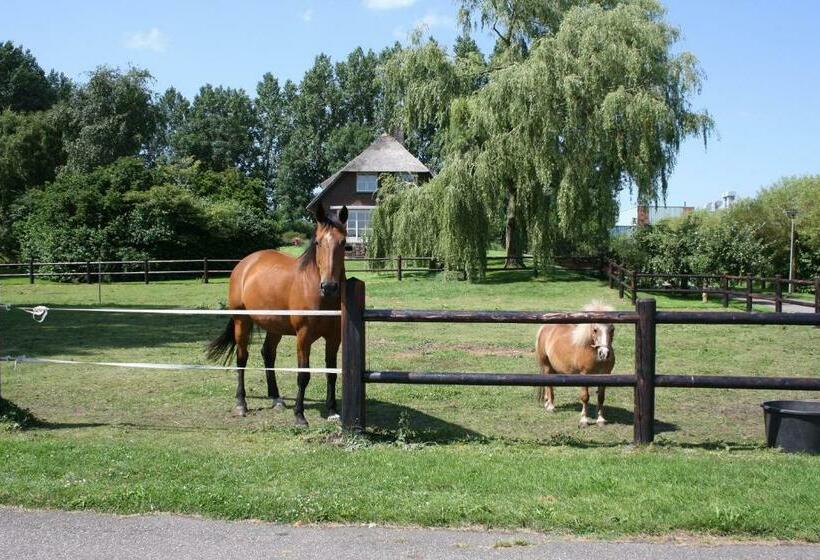 B&b Pension Op E Koai