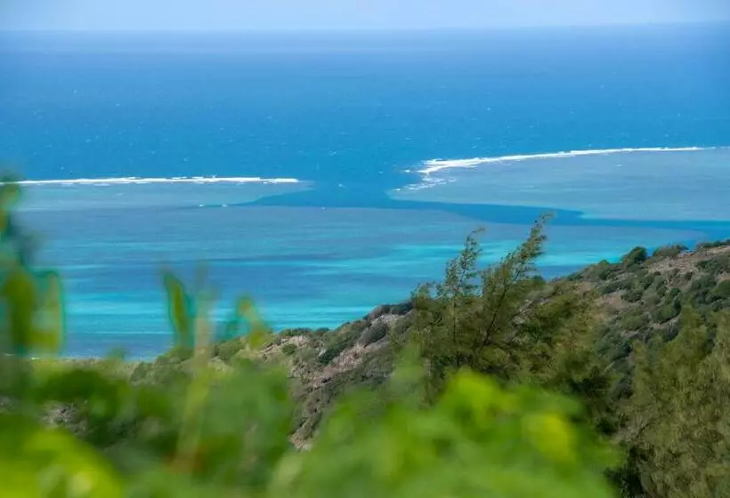 تختخواب و صبحانه Le Tropical Chez Jeannette