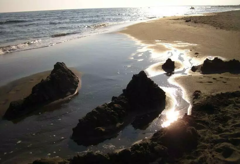 Bed and Breakfast Vila Horizont