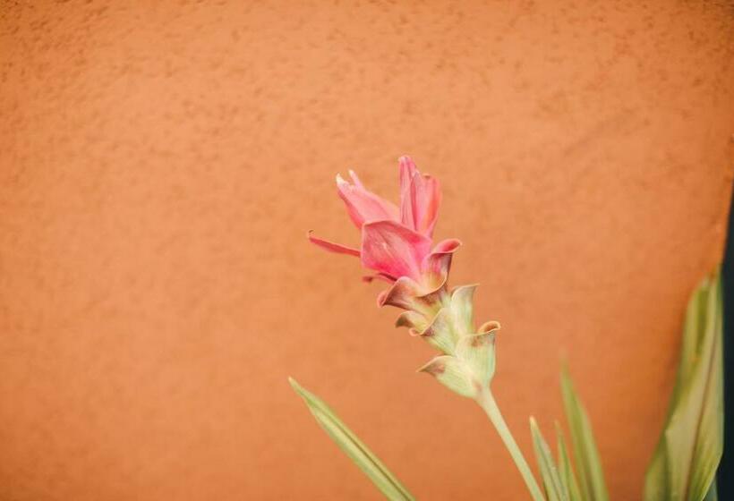 Szálloda Luzern Engel