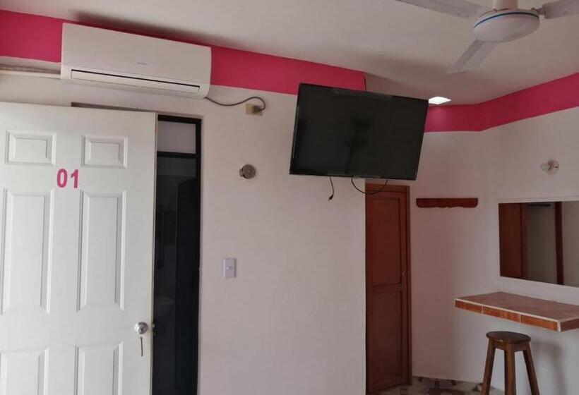 酒店 D´concepción