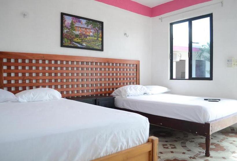 Hotel D´concepción