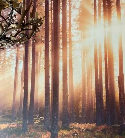 膳宿费 Baita Maore Luxury Rooms & Spa