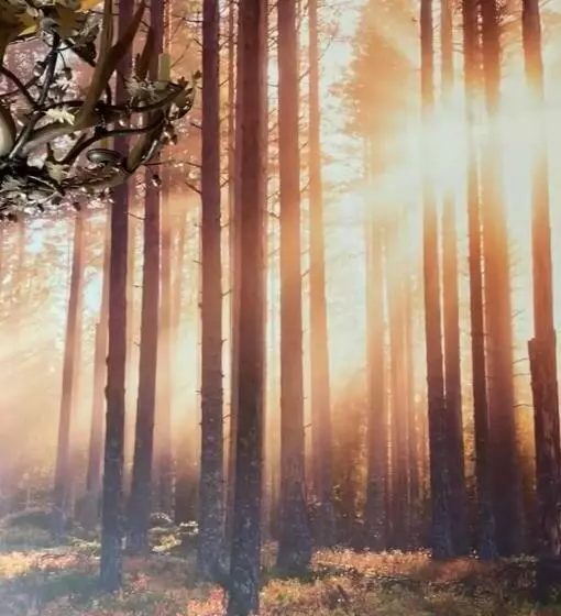 ペンション Baita Maore Luxury Rooms & Spa