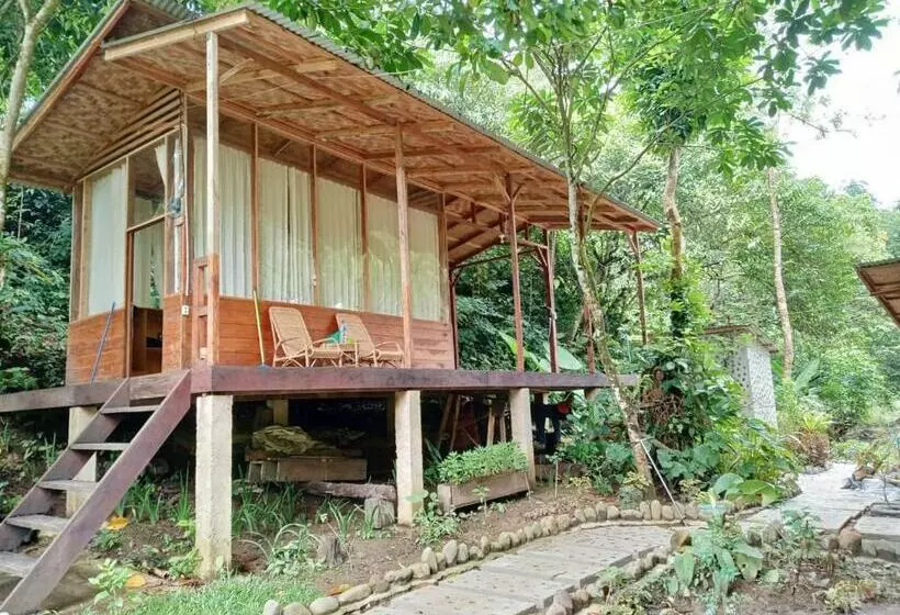 Majatalo Bua Guesthouse Tangkahan