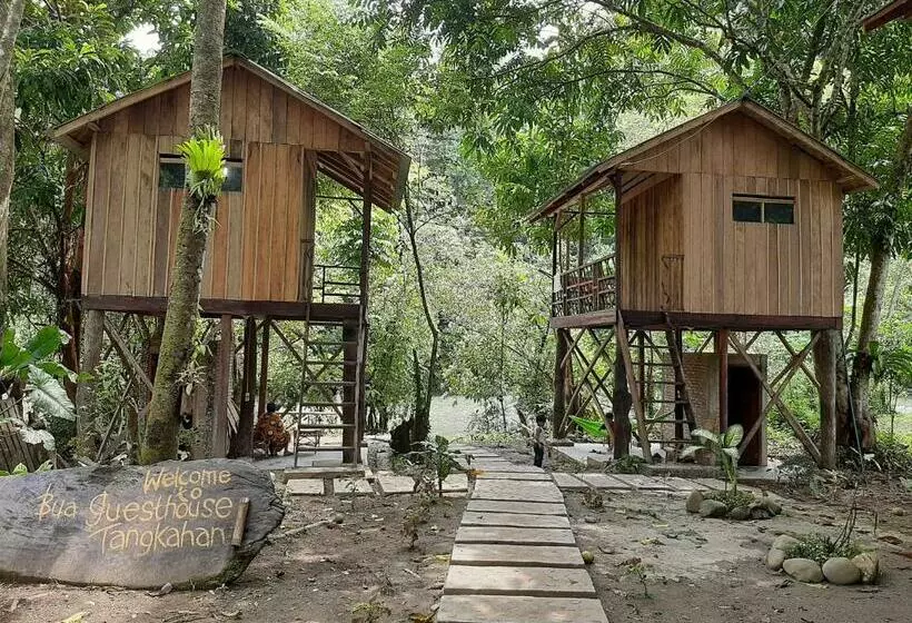 Majatalo Bua Guesthouse Tangkahan