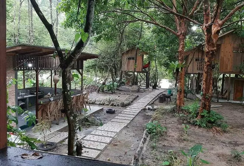 Majatalo Bua Guesthouse Tangkahan