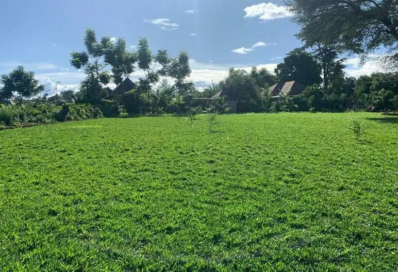 پانسیون Tulivu Kilimanjaro Retreat
