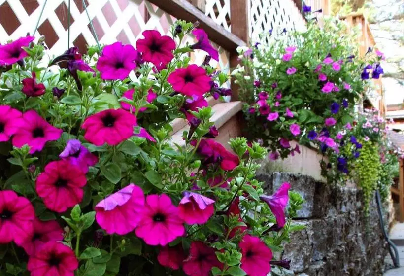 Bed and Breakfast Beachside Villa Luxury Suites And Vacation Rentals