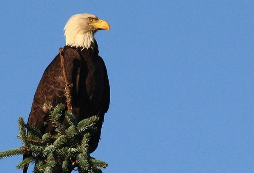 住宿加早餐 Beachside Villa Luxury Suites And Vacation Rentals