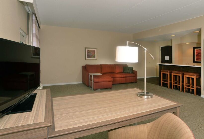 בית מלון כפרי Hampton Inn Springfieldsoutheast