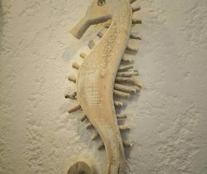 Hotel Pousada Peixe Galo