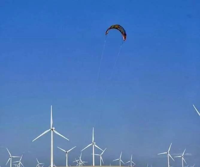 Hotel Pousada Peixe Galo