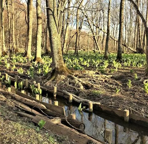 ビジネスホテル幸楽