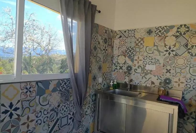 ベッドアンドブレックファースト Habitaciones En Finca Olivo Y Almendro