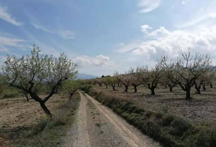ベッドアンドブレックファースト Habitaciones En Finca Olivo Y Almendro