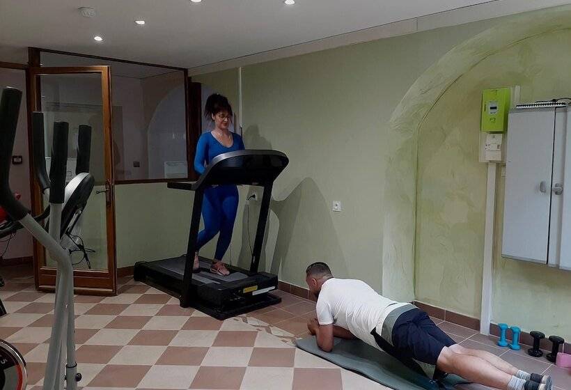 酒店 Hôtel Du Cerf