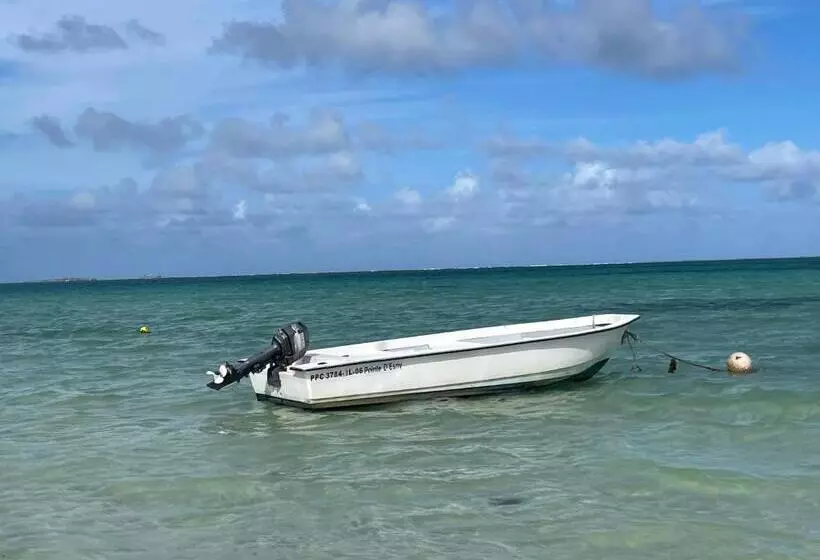 پانسیون Chez Henri