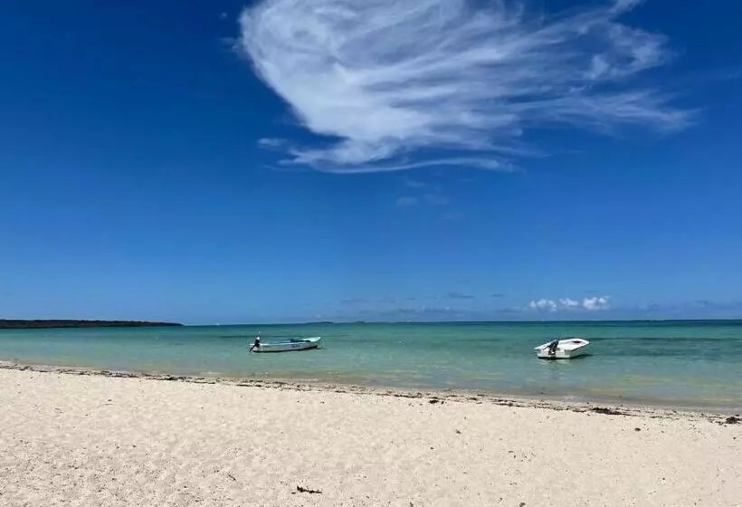 پانسیون Chez Henri