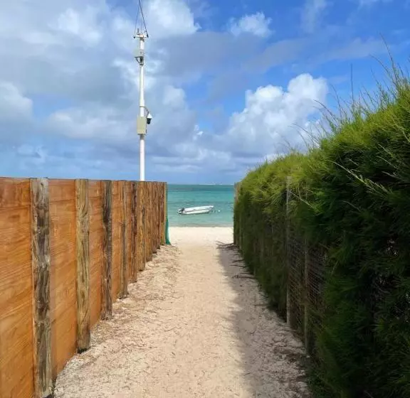 پانسیون Chez Henri