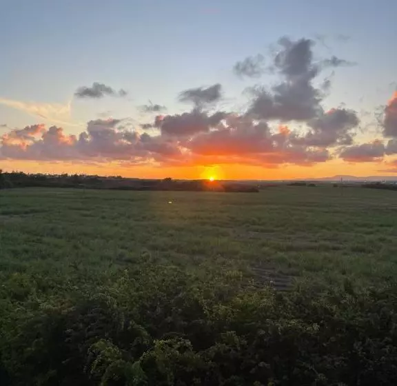 پانسیون Chez Henri