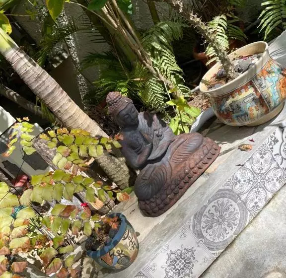 پانسیون Chez Henri