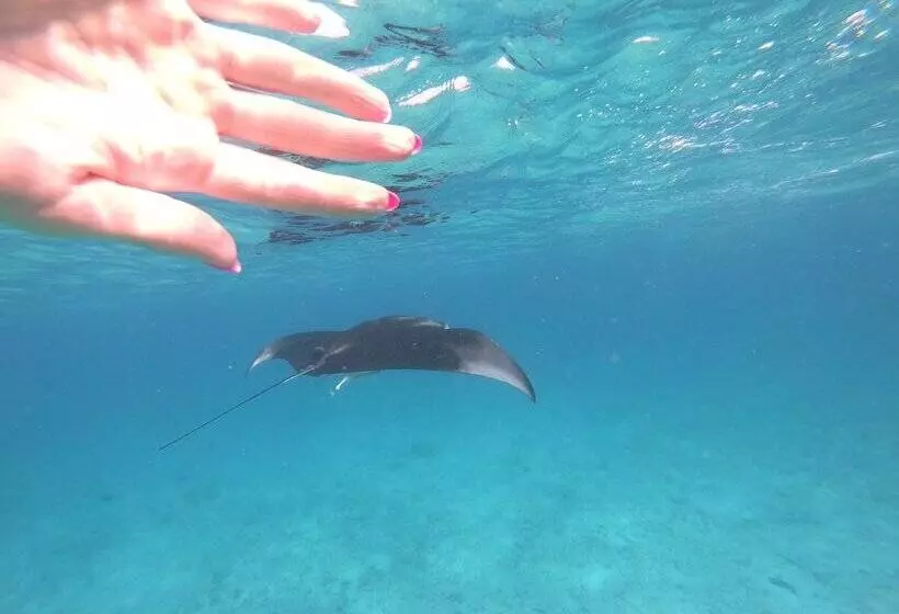 پانسیون Mahchavaru Maldives