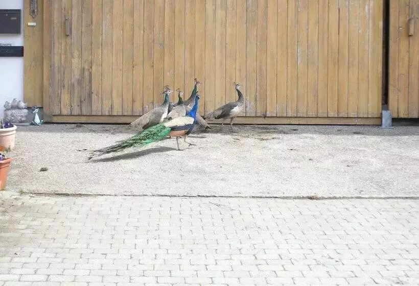 Lomakeskus Ferienhof Müller Vorderburg