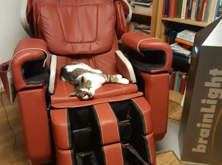 Lomakeskus Ferienhof Müller Vorderburg