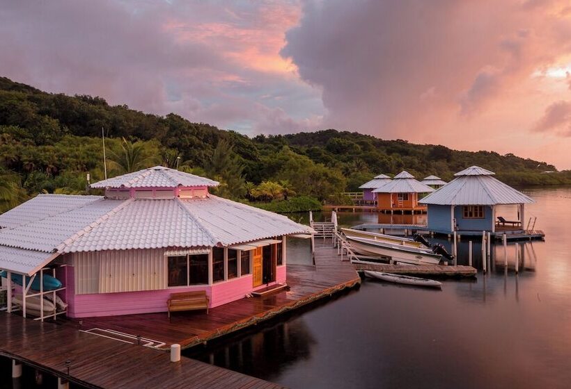 استراحتگاه Mango Creek Lodge