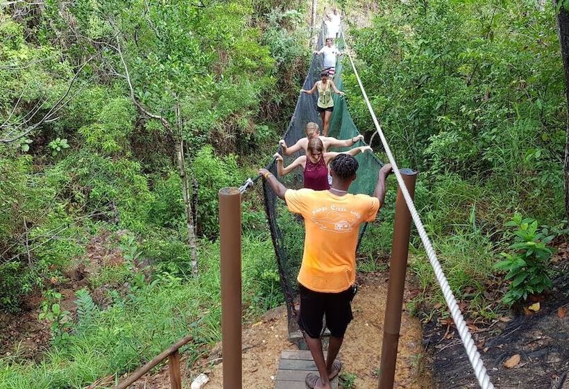 استراحتگاه Mango Creek Lodge