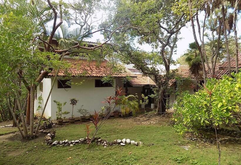 استراحتگاه Mango Creek Lodge