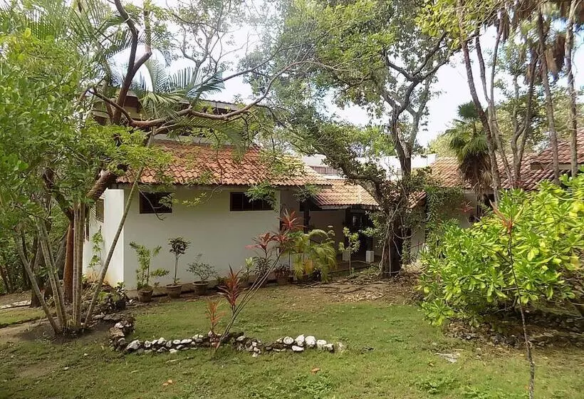 استراحتگاه Mango Creek Lodge