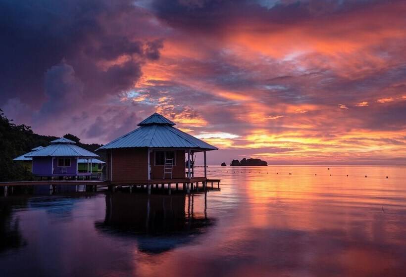 استراحتگاه Mango Creek Lodge