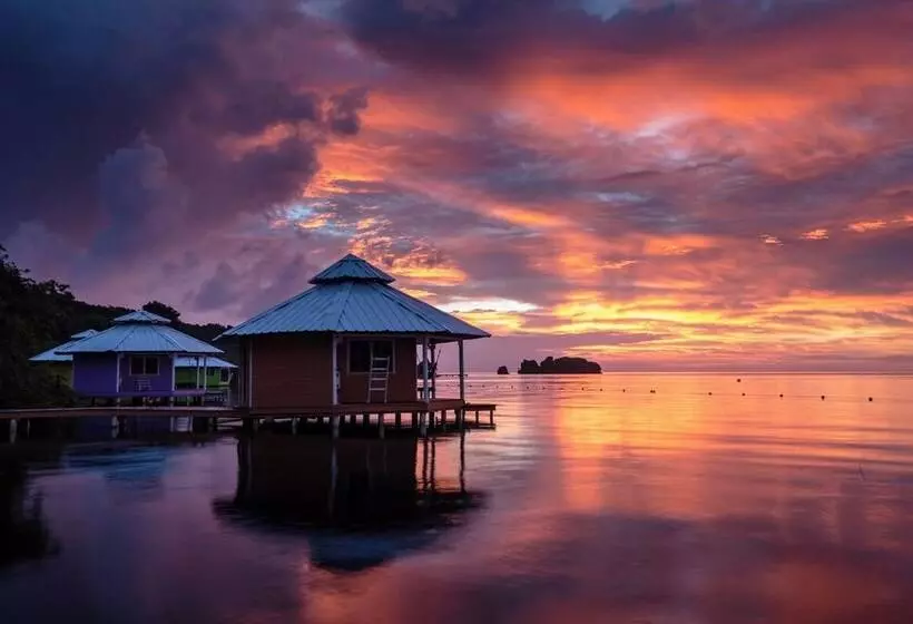 استراحتگاه Mango Creek Lodge