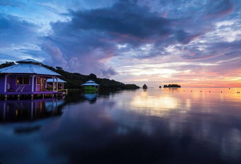 استراحتگاه Mango Creek Lodge