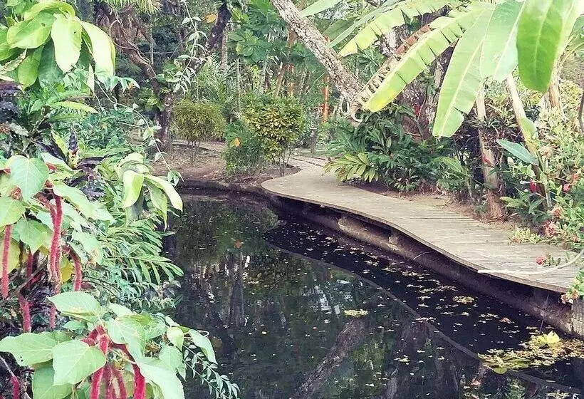 استراحتگاه Mango Creek Lodge