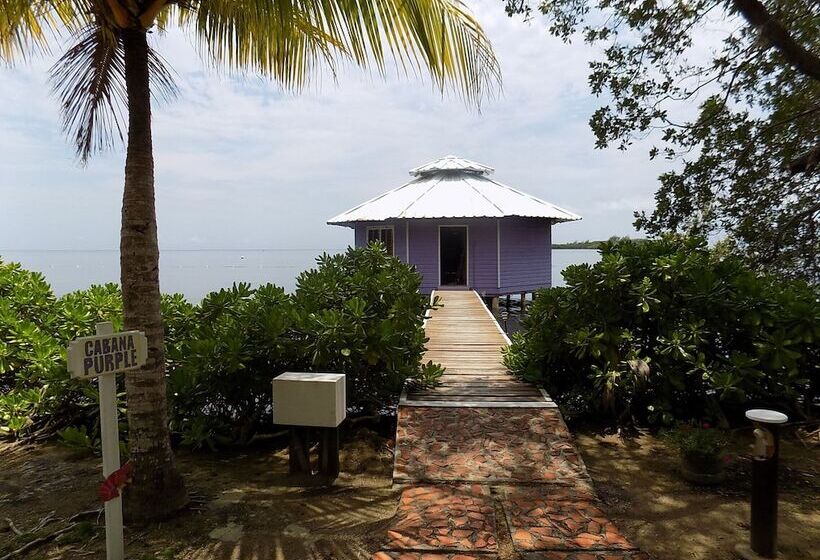 استراحتگاه Mango Creek Lodge