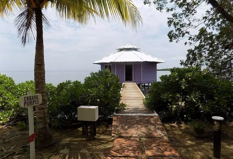 استراحتگاه Mango Creek Lodge