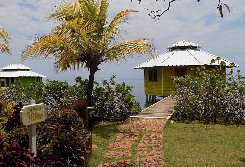 استراحتگاه Mango Creek Lodge