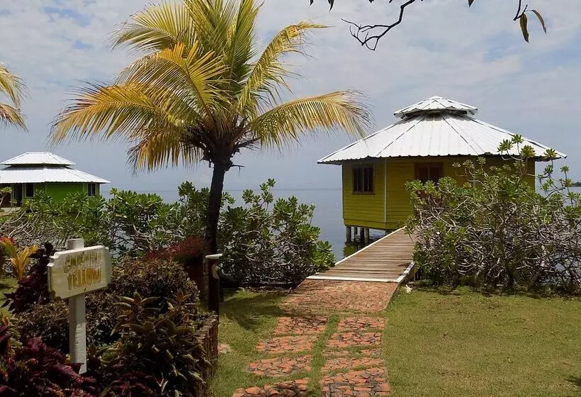 استراحتگاه Mango Creek Lodge