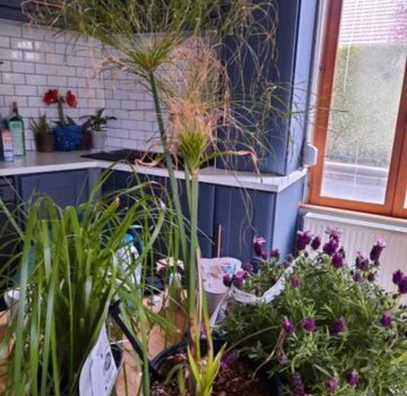 민박 Chambre D Hôtes Le Relais De Belloy