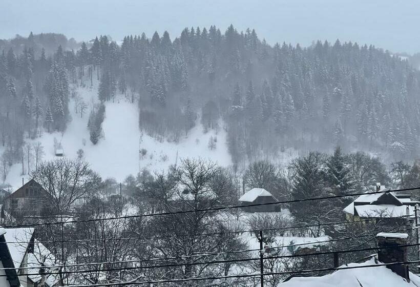 Hotel Elitegasthaus Moieciu A