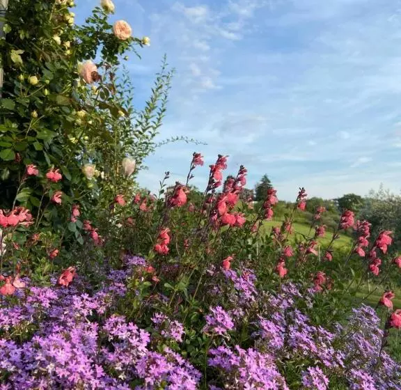 Aamiaismajoitus (B&B) Poderino   A Place To Feel