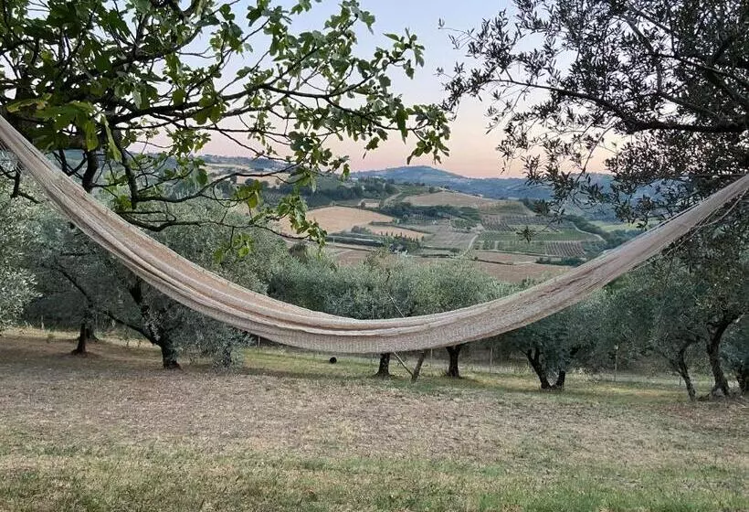 Aamiaismajoitus (B&B) Poderino   A Place To Feel