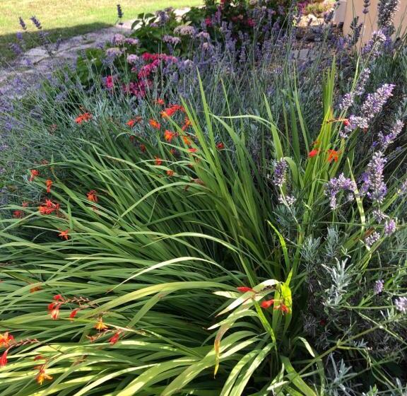 צימר Un Coin De Paradis