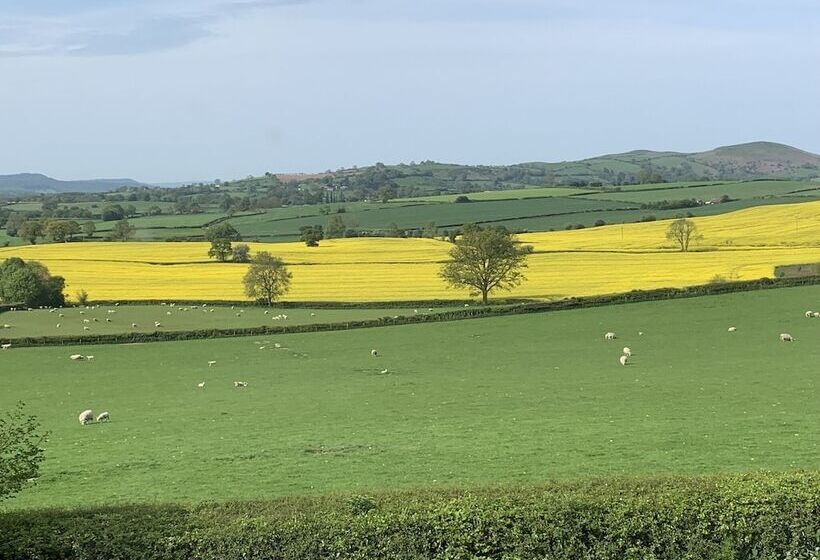 צימר Upper Home Farm