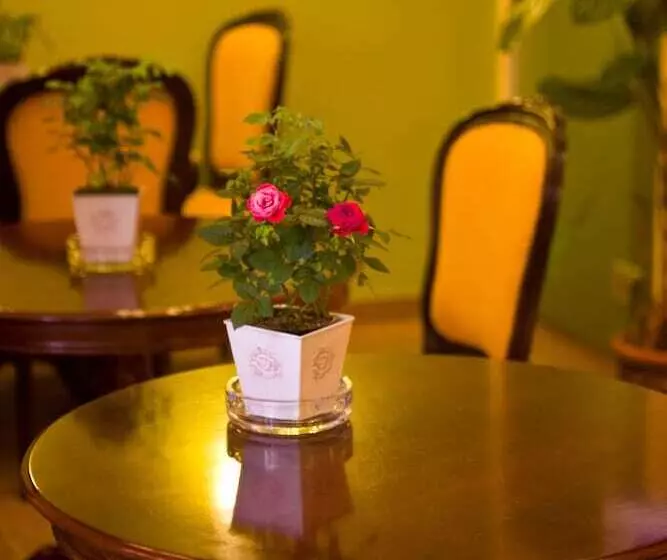 فندق Andromeda Suites