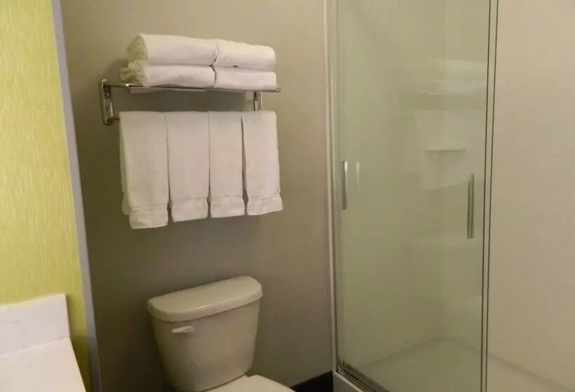 酒店 Holiday Inn Express & Suites Shippensburg, An Ihg