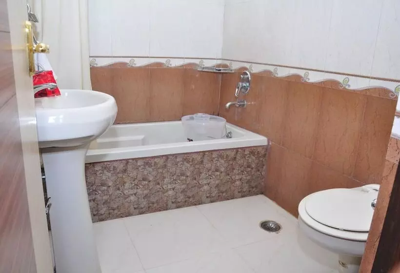 Отель Oyo Rooms Regent Cinema Chowk